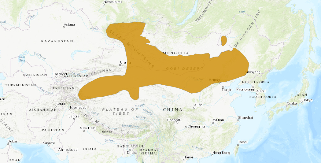 Landkaart waar de Roborovski dwerghamster leeft