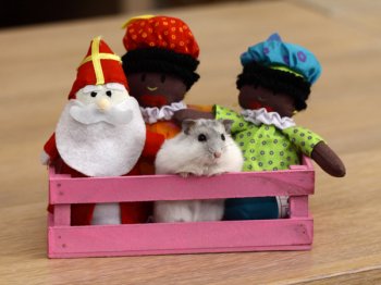 Start van Sinterklaas foto's, geplaatst op Facebook